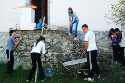 biblioteka