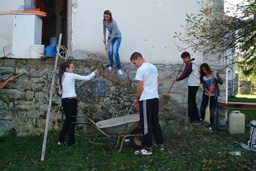 mladi