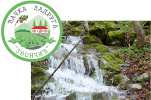 carbno oko