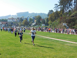 Kros 2016