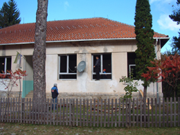 Prozori