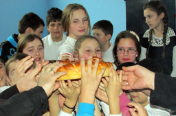 savindan kruscica