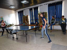 teniserke