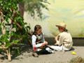 Sima i Mira
