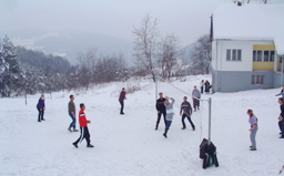 VIZI 2011